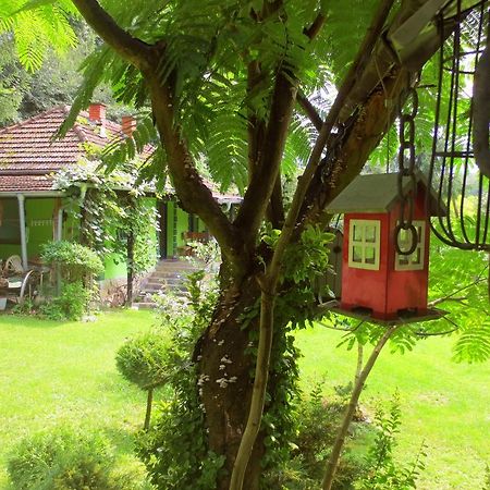 Villa Etno-Kuca "Leka" Klisura Despotovac Exterior foto