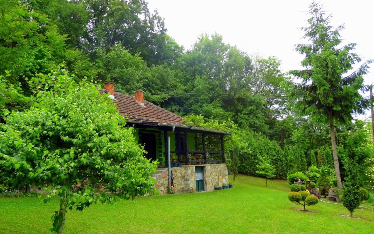 Villa Etno-Kuca "Leka" Klisura Despotovac Exterior foto