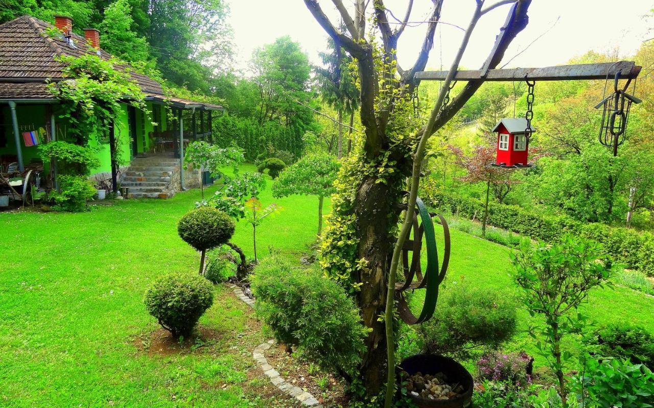 Villa Etno-Kuca "Leka" Klisura Despotovac Exterior foto