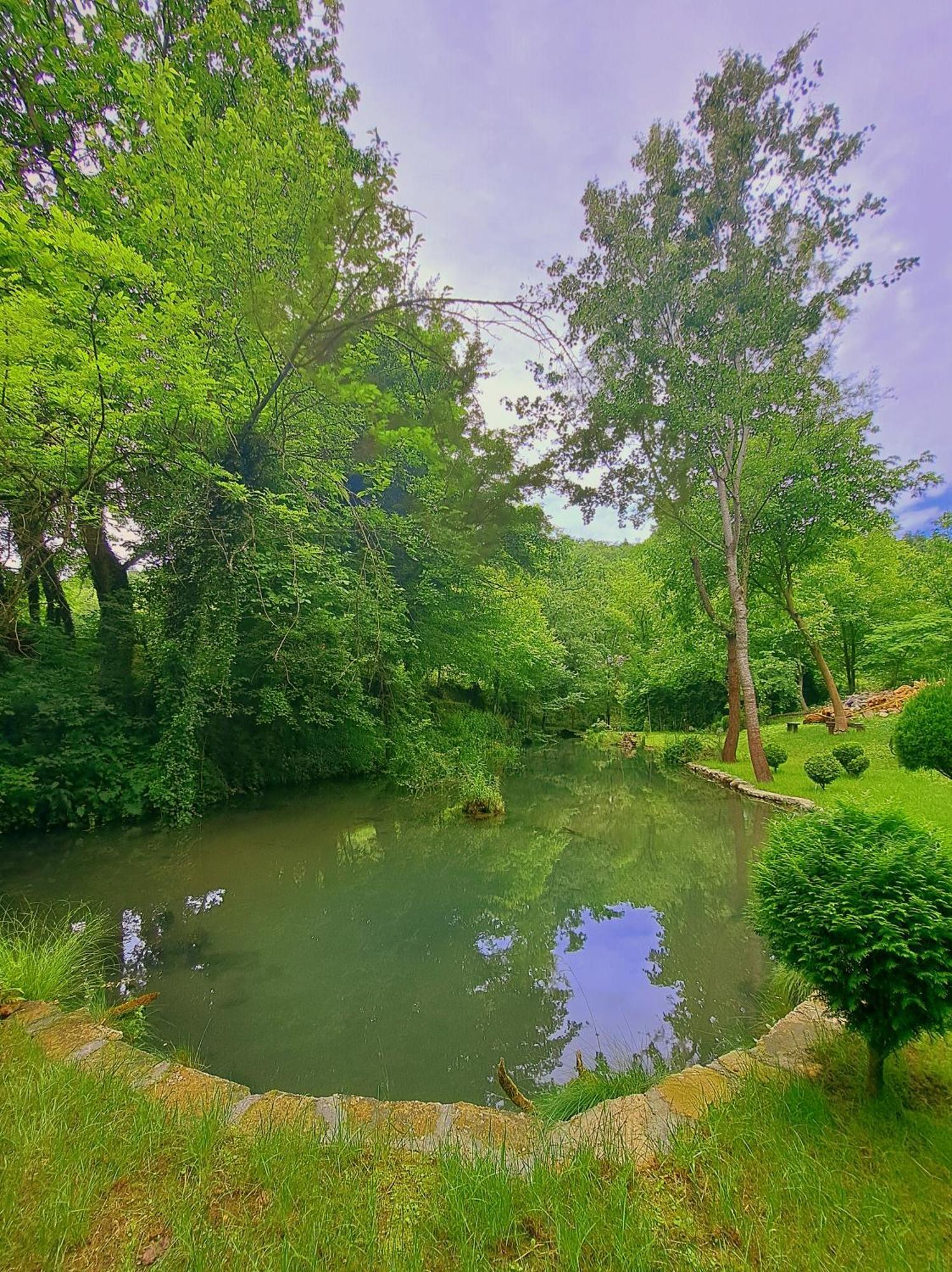 Villa Etno-Kuca "Leka" Klisura Despotovac Exterior foto