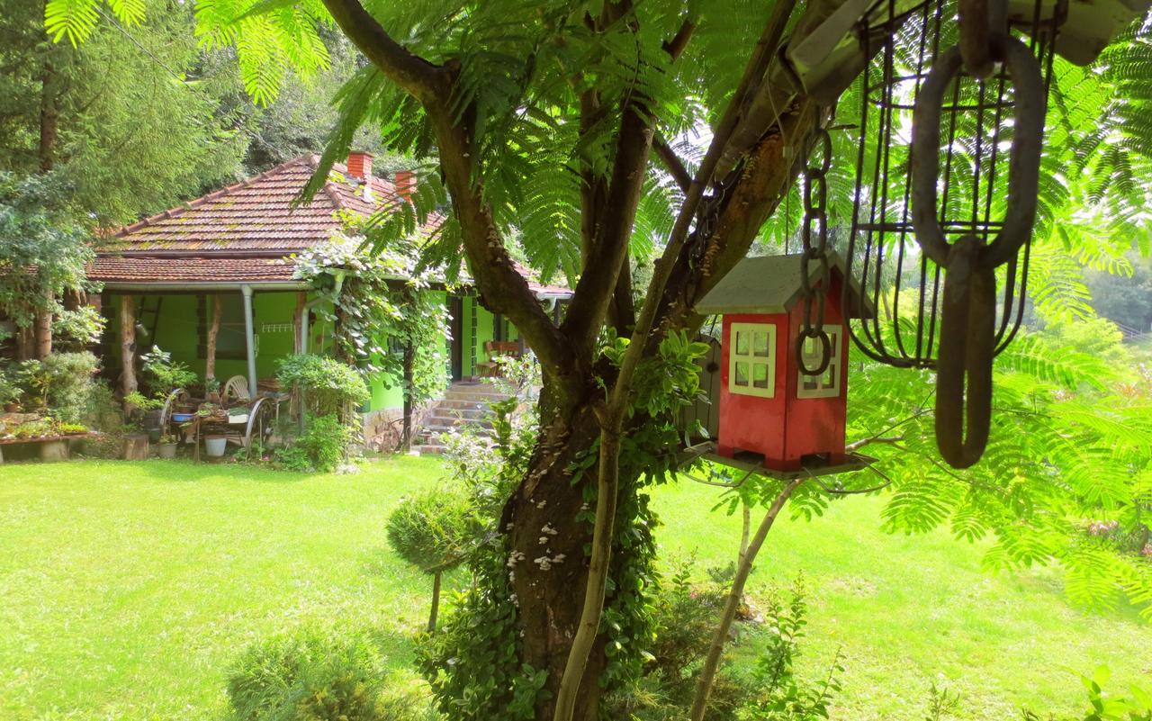Villa Etno-Kuca "Leka" Klisura Despotovac Exterior foto