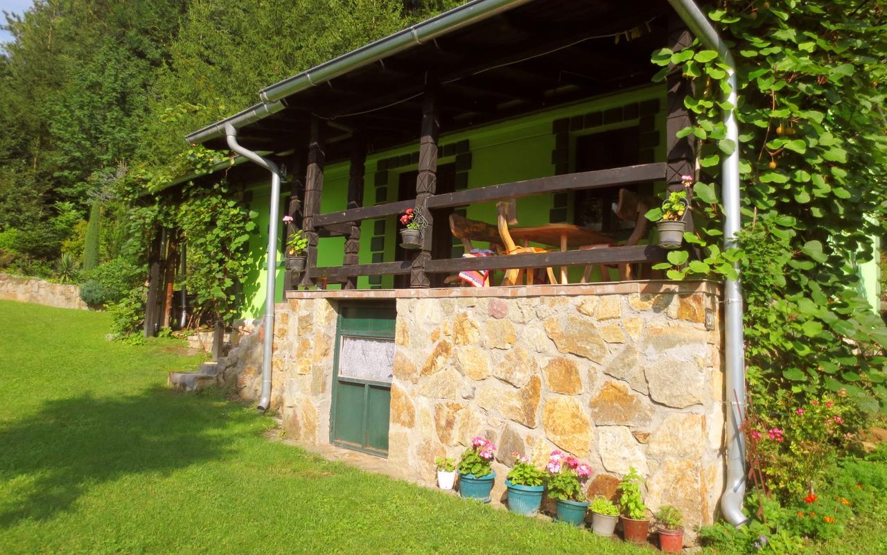 Villa Etno-Kuca "Leka" Klisura Despotovac Exterior foto