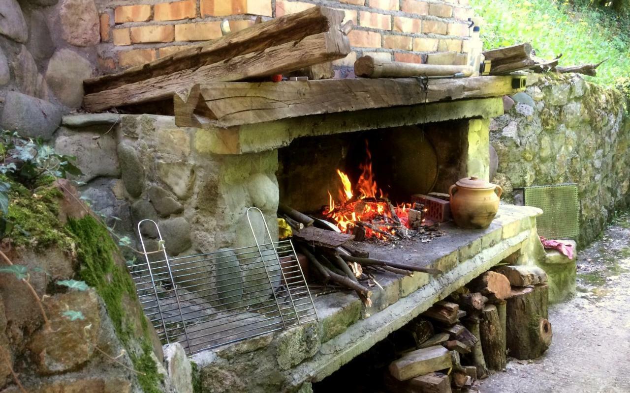 Villa Etno-Kuca "Leka" Klisura Despotovac Exterior foto